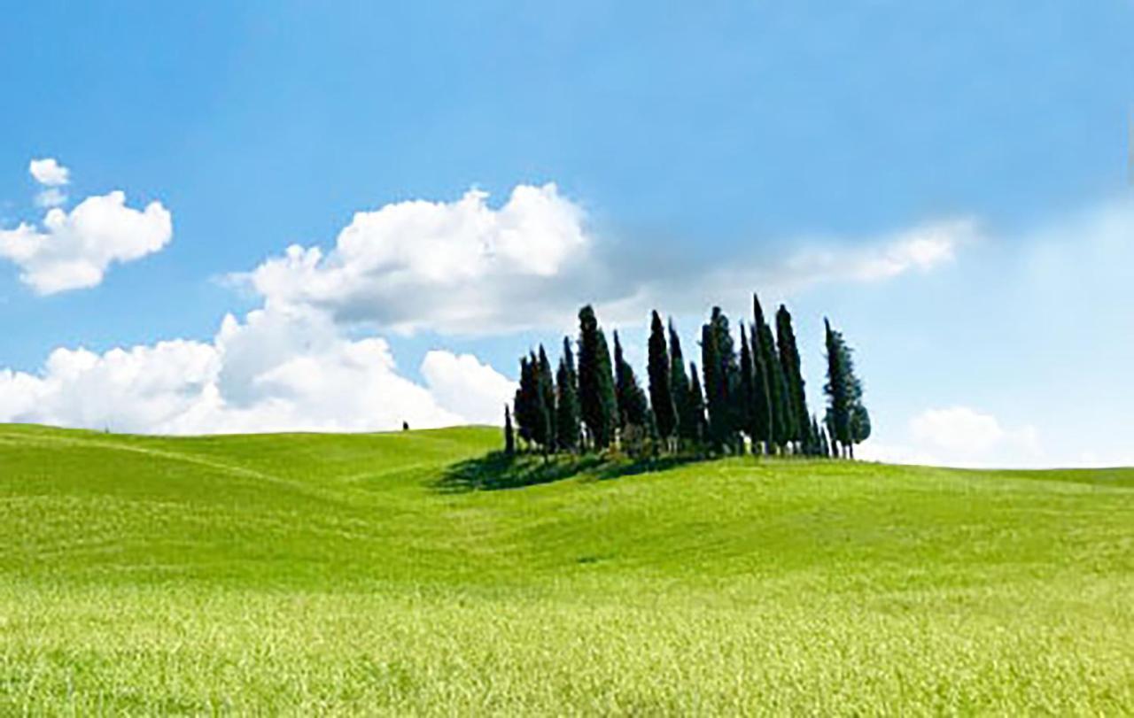 La Casa Nel Poggio 247 Vicino A Siena Apartment Ponte a Tressa Luaran gambar